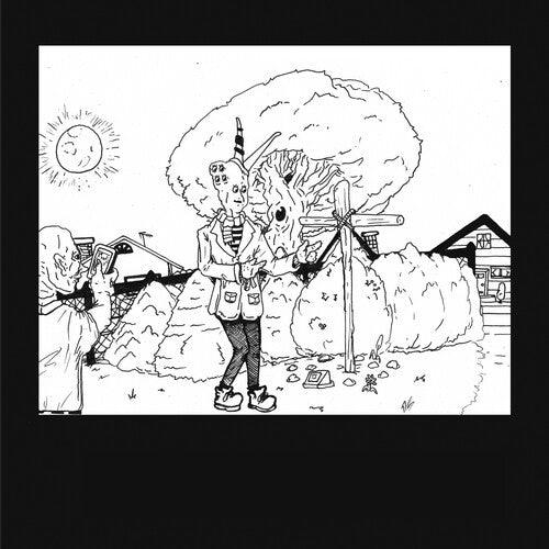 Teen Suicide- It's the Big Joyous Celebration Let's Stir the Honeypot ( LP )