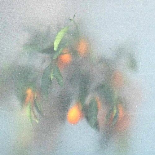 U-Ziq & Mrs Jynx: Secret Garden { Record }