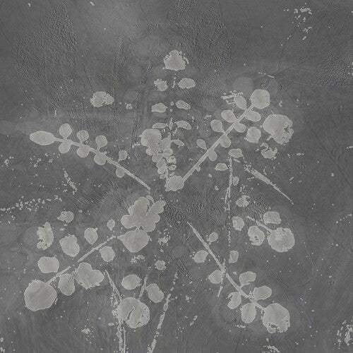Sabla: Music For Melted Floors { Record }