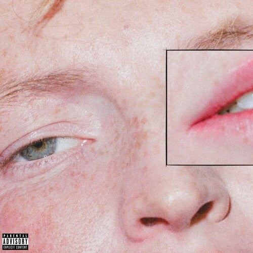 Greeting Committee: Dandelion - VINYL