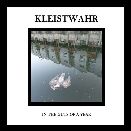 Kleistwahr: In the Guts of a Year - COMPACT DISCS