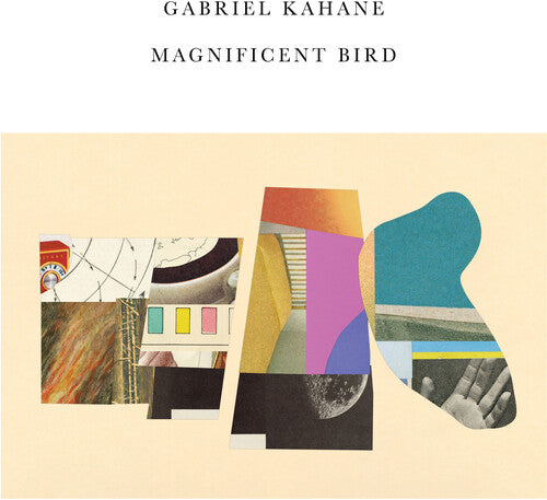 Gabriel Kahane: Magnificent Bird - VINYL