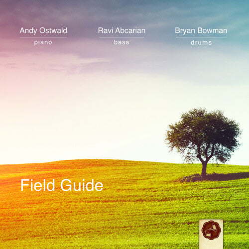 Andy Trio Ostwald: Field Guide - CD