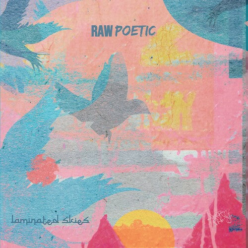 Raw Poetic / Damu the Fudgemunk: Laminated Skies { Record }