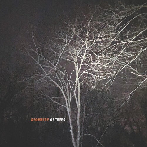 Tomeka Reid: Geometry Of Trees - CD