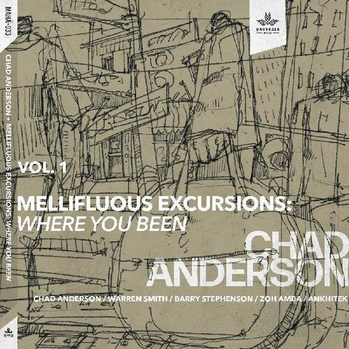 Chad Anderson: Mellifluous Excursions 1- Where You Been - CD