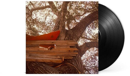 Backseat Lovers: Waiting To Spill - VINYL