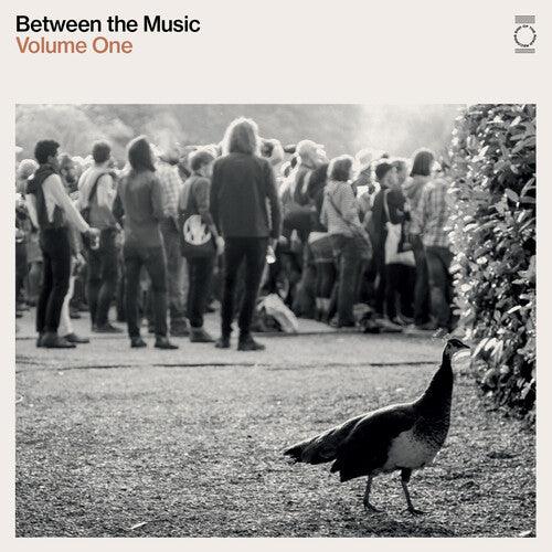 Various Artists- End Of The Road Presents: Between The Music / Var ( LP )