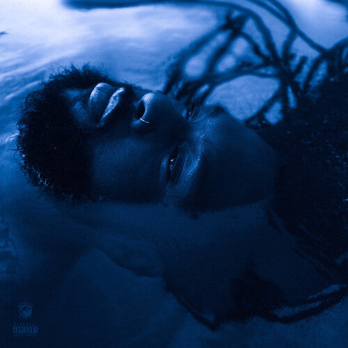 Rexx Life Raj: The Blue Hour { Record }