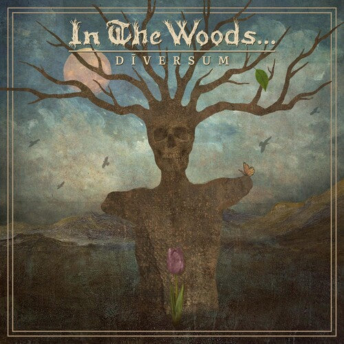 In the Woods...: DIVERSUM - VINYL