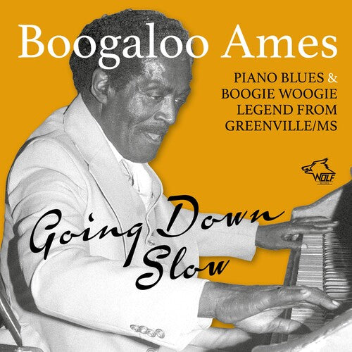 Ames Boogaloo: Going Down Slow - COMPACT DISCS