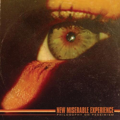 New Miserable Experience- PHILOSOPHY ON PESSIMISM ( LP )