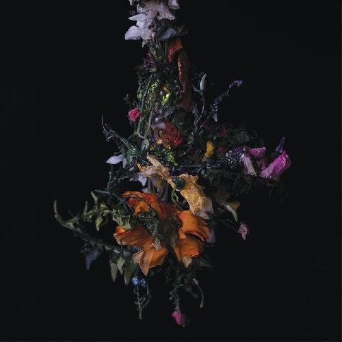 Big/Brave: Nature Morte - VINYL