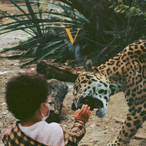 Unknown Mortal Orchestra: V - VINYL