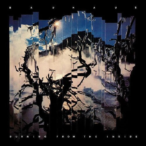 Bauhaus: Burning From The Inside - CD