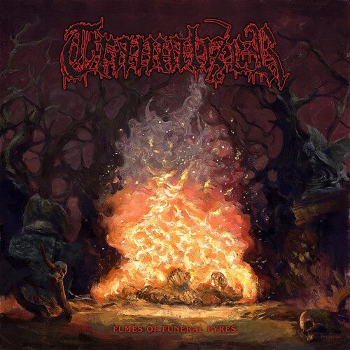 Tramalizer: FUMES OF FUNERAL PYRES - VINYL