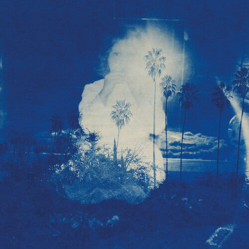 Fruit Bats: A River Running to Your Heart - VINYL