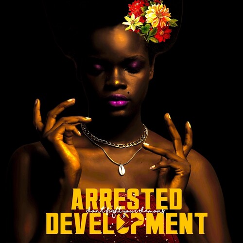 Arrested Development: Don't Fight Your Demons { Record }