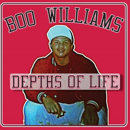 Boo Williams: Family Affair Vol. 1 (Various Artists) { Record }