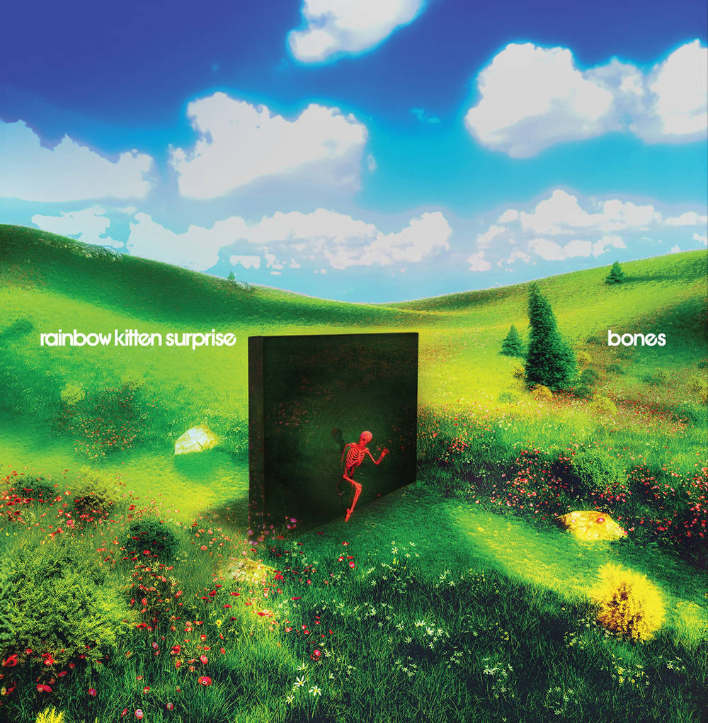 Rainbow Kitten Surprise- bones ( LP )