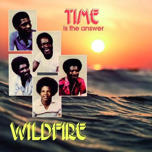 Wildfire: Time Is The Answer - VINYL