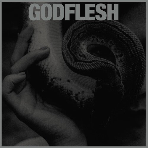 Godflesh: Purge - VINYL