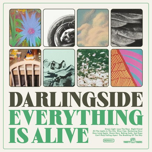 Darlingside: Everything Is Alive { Record }