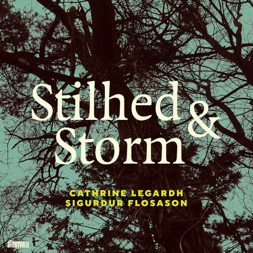 Sigurdur Flosason: Stilhed & Storm - CD