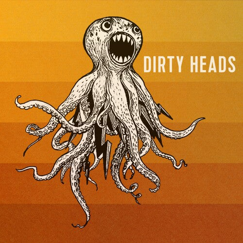 Dirty Heads: Dirty Heads - VINYL
