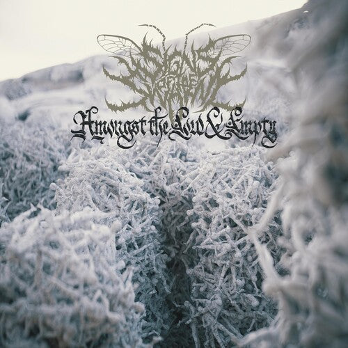 Signs of the Swarm: Amongst The Low & Empty - CD