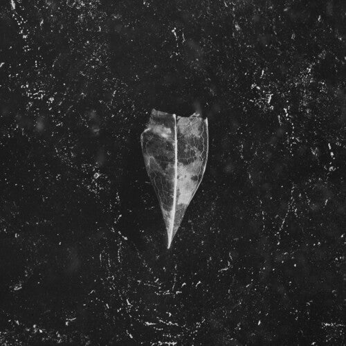 Bees Made Honey in the Vein Tree: Aion - CD