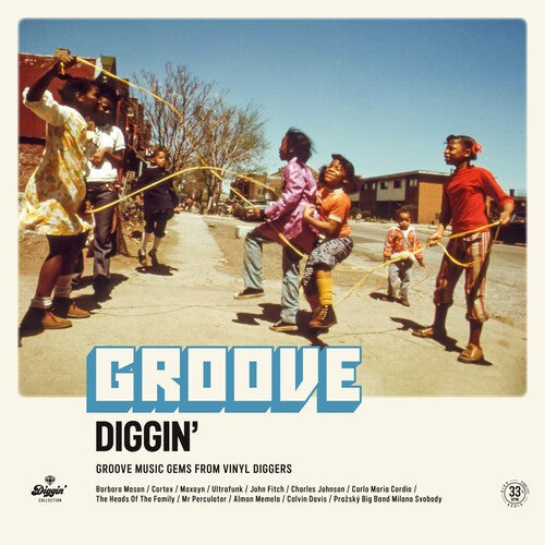 Various Artists: Groove Diggin / Various - VINYL