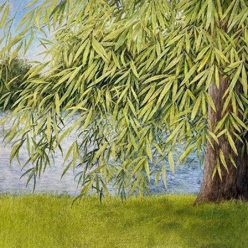 Martin Simpson: Nothing But Green Willow : The Songs Of Mary Sands And Jane Gentry - COMPACT DISCS