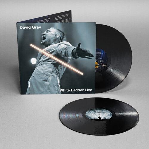 David Gray- White Ladder Live ( LP )
