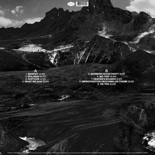Andrew Bird- Outside Problems ( LP )