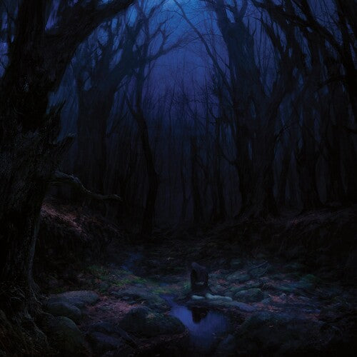 Woods of Desolation: Torn Beyond Reason - VINYL
