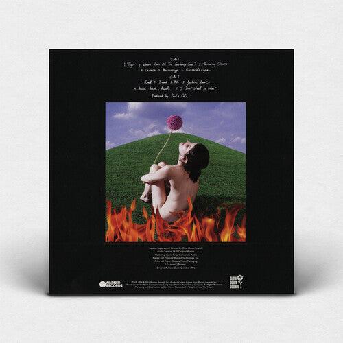 Paula Cole- This Fire (Indie Exclusive Blue Vinyl) ( LP )