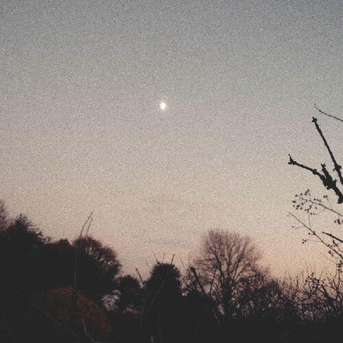 Rachel Sermanni: Dreamer Awake { Record }