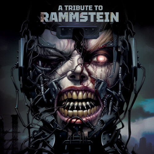 Various Artists: A Tribute To Rammstein (Various Artsists) - VINYL