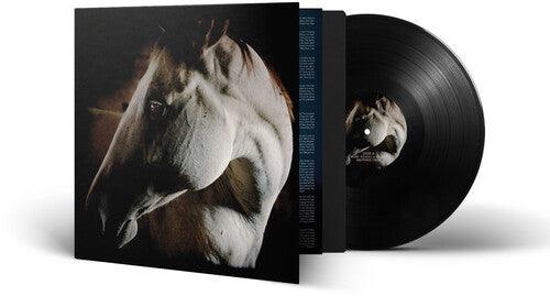Brother Dege- How To Kill A Horse ( LP )