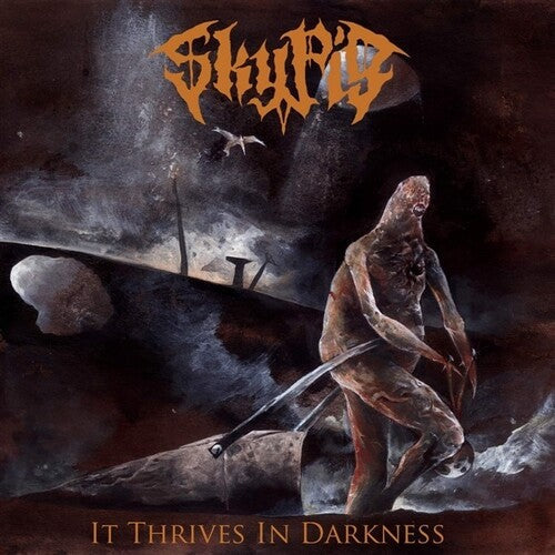 Sky Pig: It Thrives In Darkness - VINYL