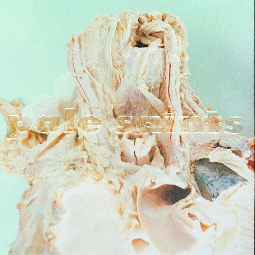 Pale Saints: In Ribbons - VINYL