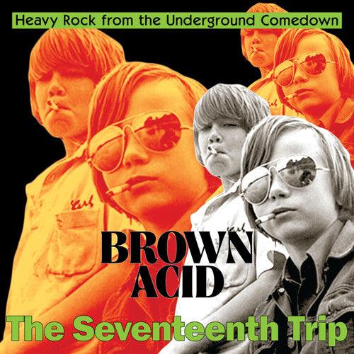 Various Artists- Brown Acid - The Seventeenth Trip (Various Artists) ( LP )