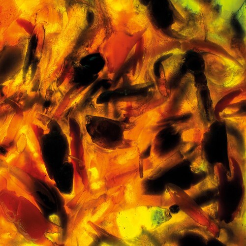 Plague Rider: Intensities - CD