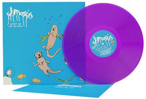 J Mascis (Dinosaur Jr.)- What Do We Do Now ( LP )