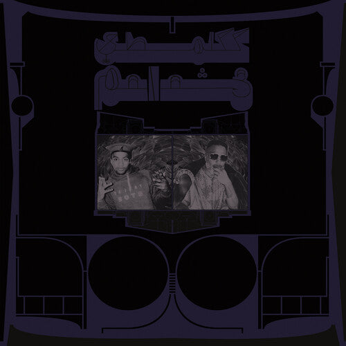 Shabazz Palaces: Exotic Birds of Prey { Record }