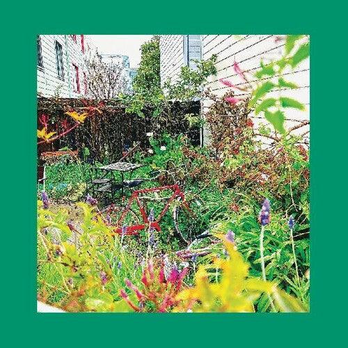 Unwishing Well ( LP )