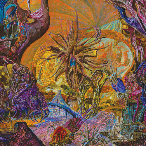 Slimelord: Chytridiomycosis Relinquished - Orange/royal Blue - VINYL