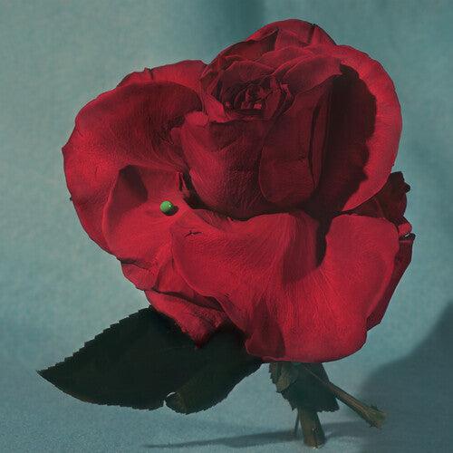 METZ- Up on Gravity Hill (Loser Edition) ( LP )