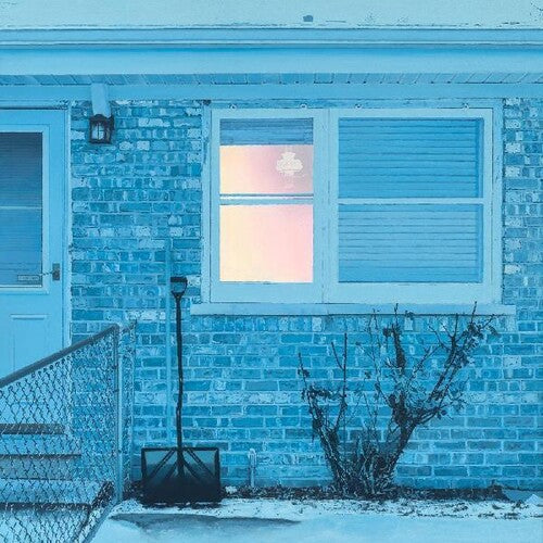 Ratboys: The Window - VINYL